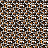 *Leopard Patterns